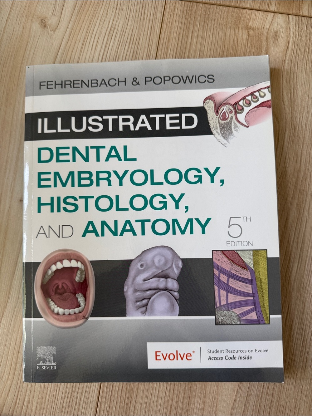 Illustrated Dental Embryology, Histology, and Anatomy - fifth edition